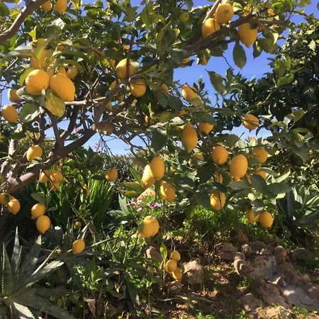 Casa Oleandro By Flo Bed & Breakfast Vale Covo (Faro)